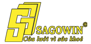 lĩnh vực hoạt động